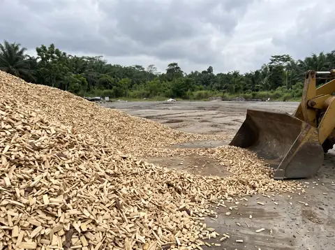 A stockpile of pale wood chips in a yard, with a wheel loader bucket